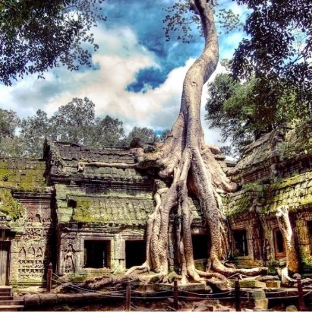 Ta Prohm is one of the most enigmatic and atmospheric temples in the Angkor Wat complex A view of the ruins of Ta Prohm, a 12th-century Hindu temple in Cambodia, with giant tree roots growing over the stone walls and carvings.